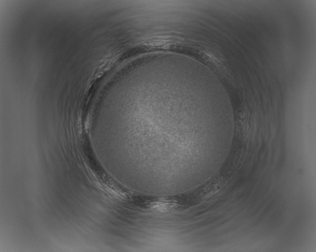 X0000051910504200507011537