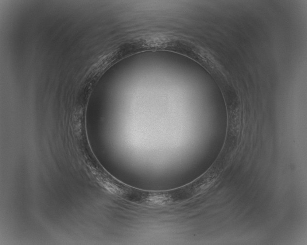 X0000051910505200507011537