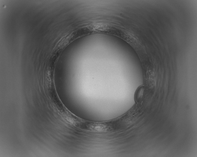 X0000051910506200507011537