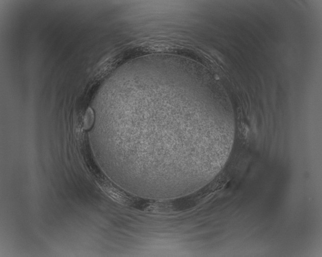 X0000051910507200507011537