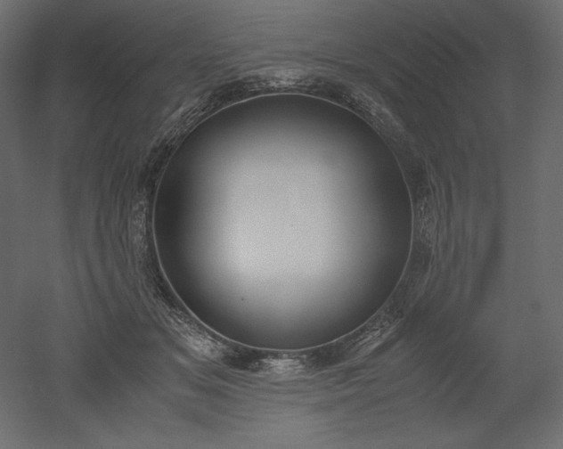 X0000051910509200507011537