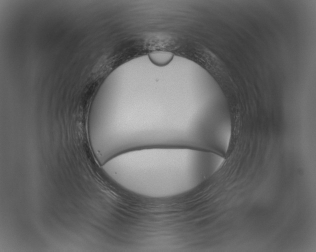 X0000051910510200507011537