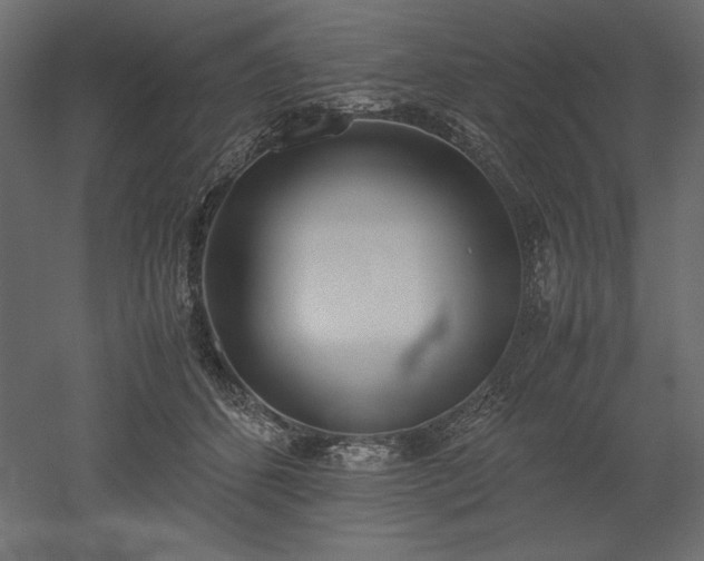 X0000051910512200507011537