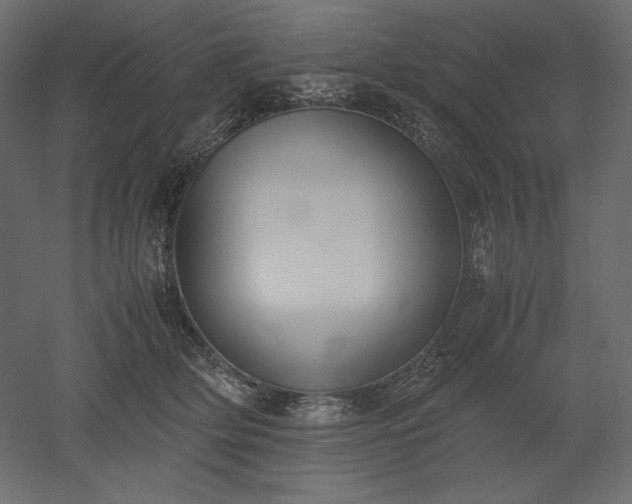 X0000051910514200507011537