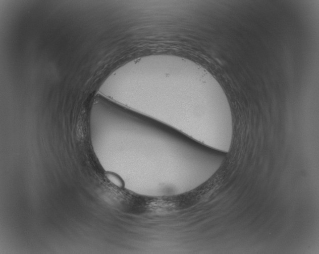 X0000051910515200507011537