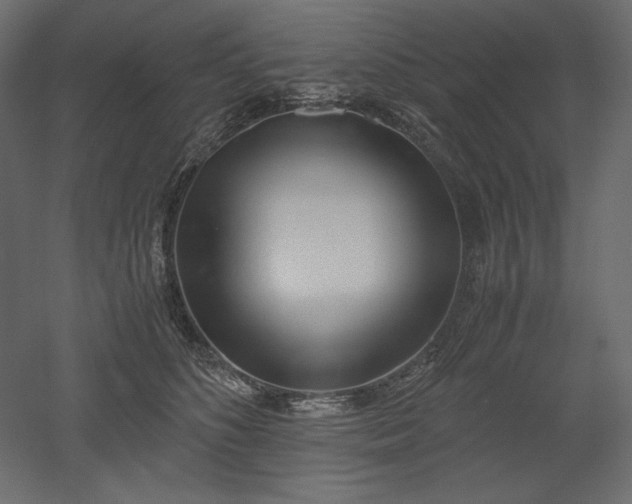 X0000051910516200507011537