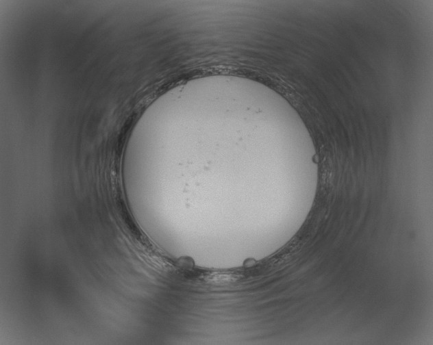 X0000051910518200507011537