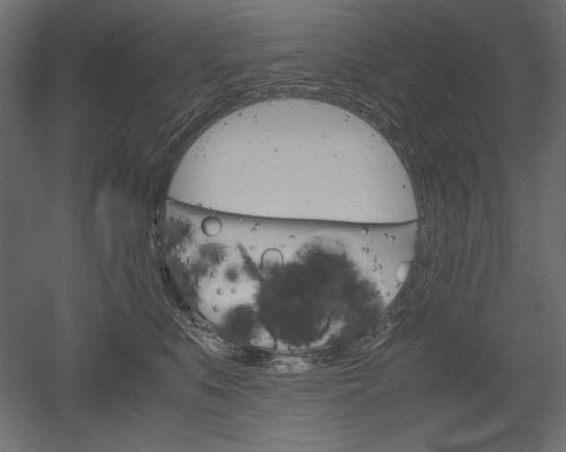 X0000051910519200507011537