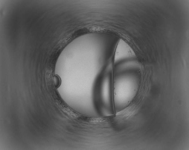 X0000051910521200507011537