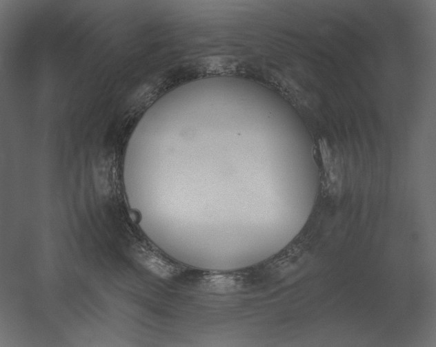 X0000051910522200507011537