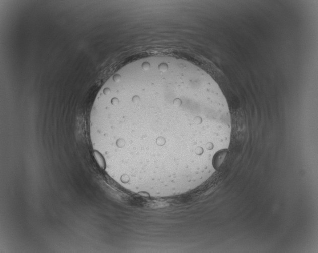 X0000051910523200507011537