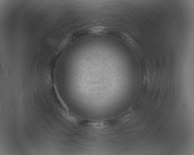 X0000051910524200507011537