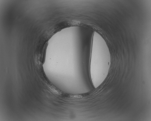 X0000051910525200507011537