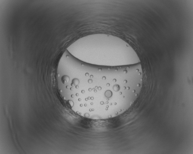 X0000051910527200507011537