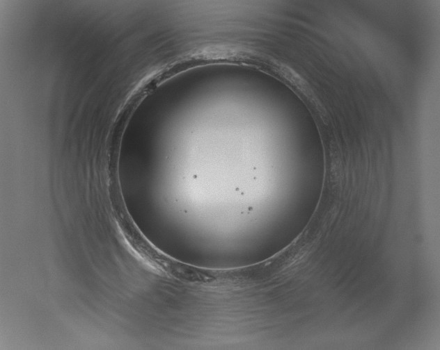 X0000051910530200507011536