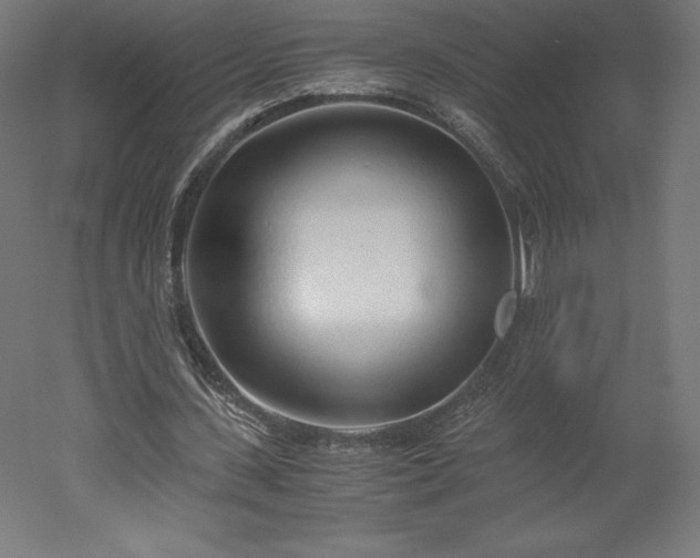 X0000051910531200507011536