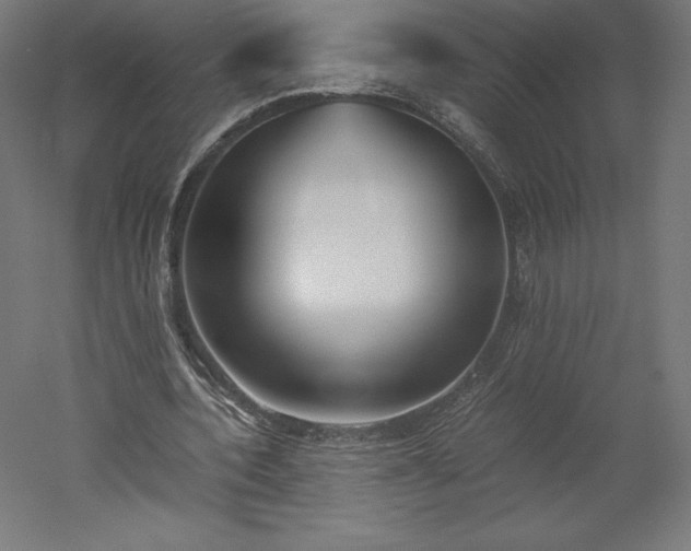 X0000051910532200507011536