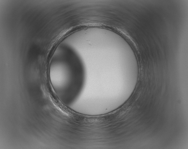 X0000051910533200507011536