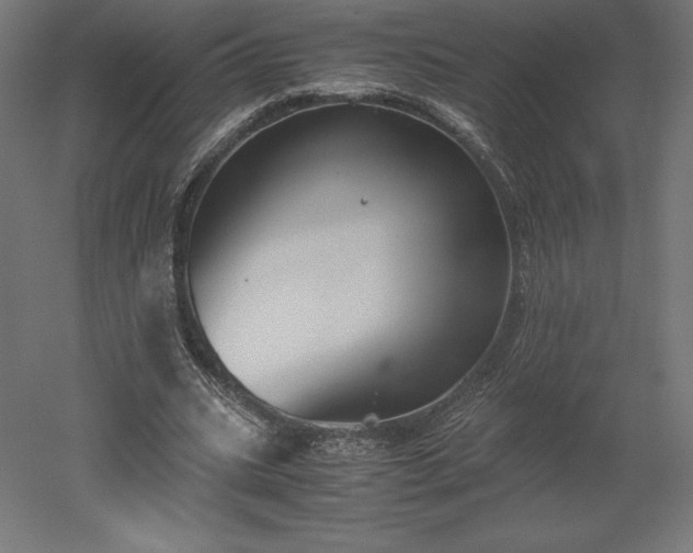 X0000051910535200507011536