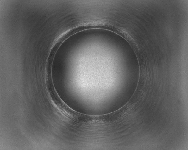 X0000051910536200507011536