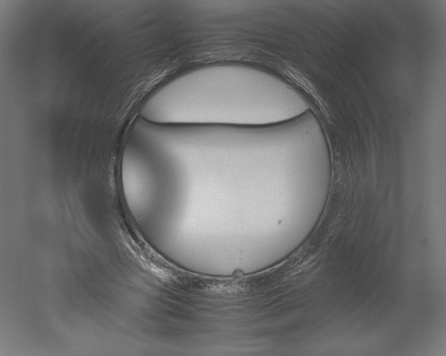 X0000051910537200507011536