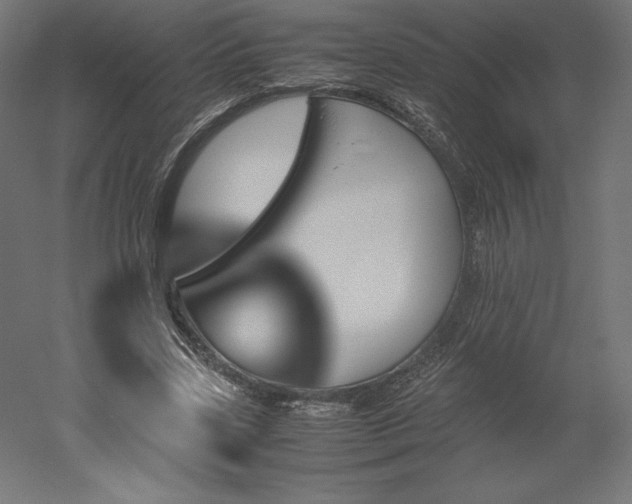 X0000051910539200507011536