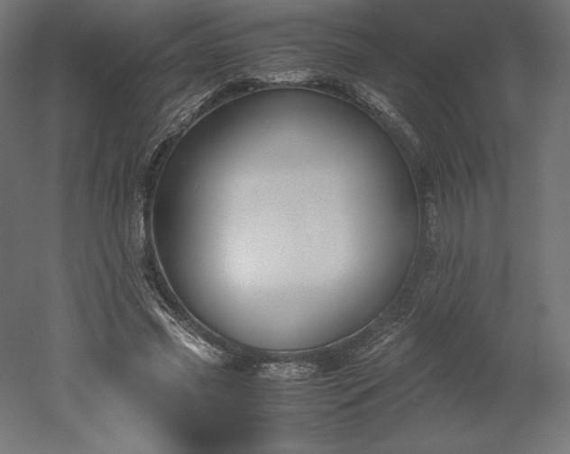 X0000051910541200507011536