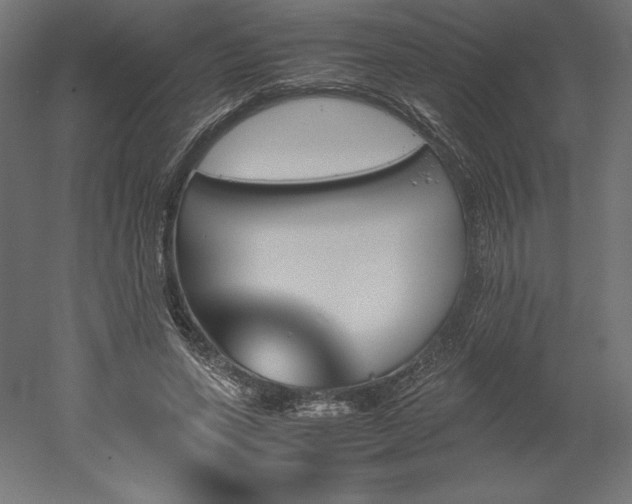 X0000051910543200507011536