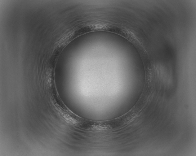 X0000051910545200507011536