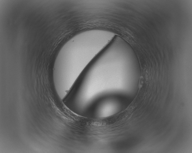 X0000051910546200507011536