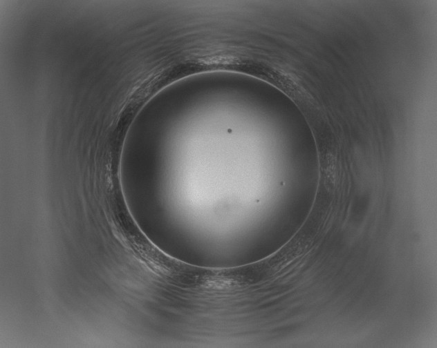 X0000051910547200507011536