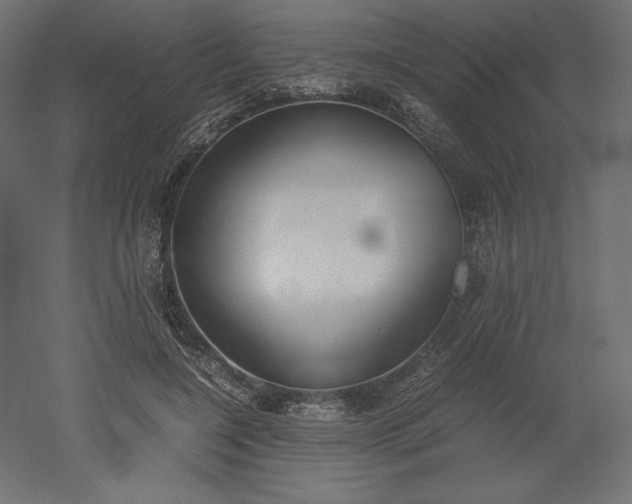 X0000051910548200507011536