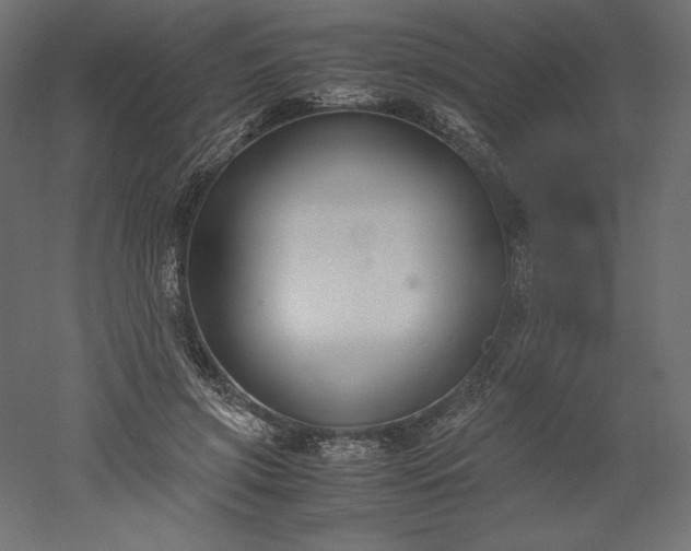 X0000051910549200507011536