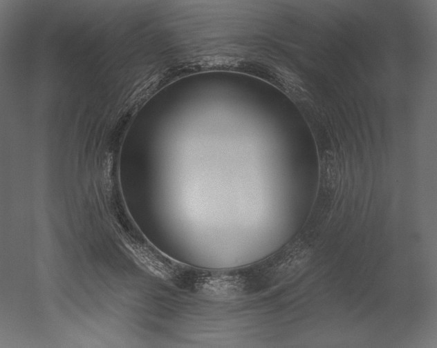 X0000051910550200507011536