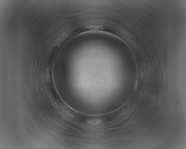 X0000051910551200507011536