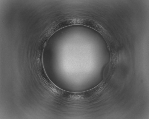 X0000051910553200507011536