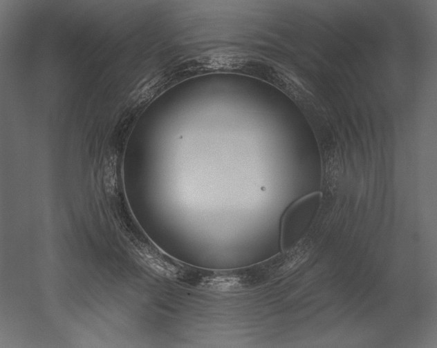 X0000051910554200507011536