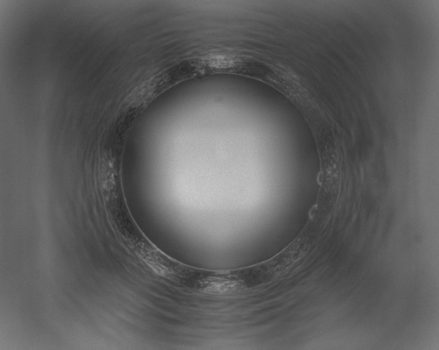 X0000051910555200507011536