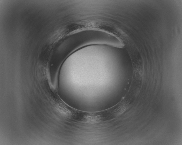 X0000051910556200507011536