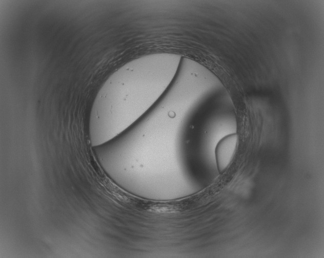 X0000051910557200507011536