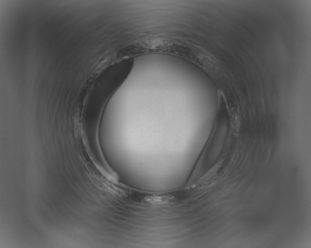 X0000051910558200507011536