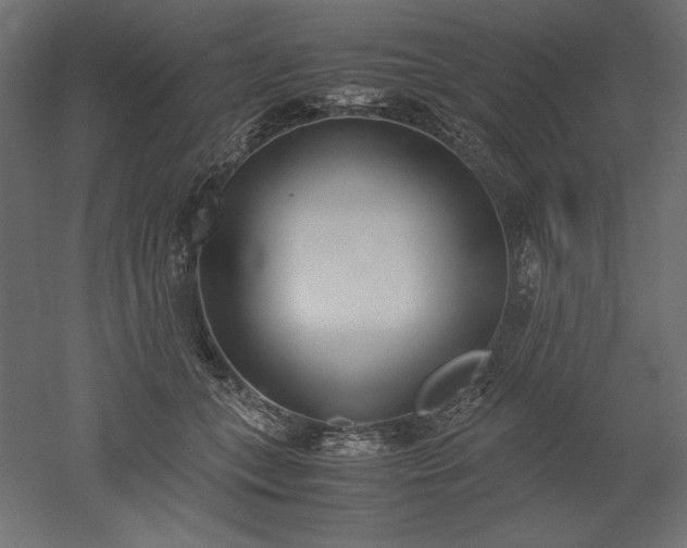 X0000051910559200507011536