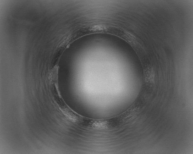 X0000051910560200507011536