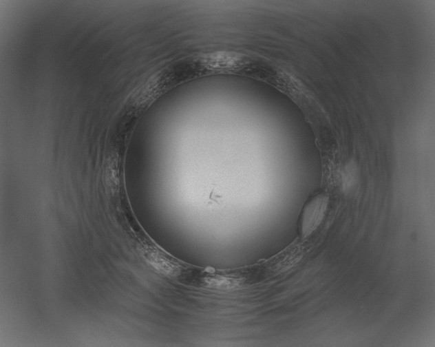 X0000051910561200507011536