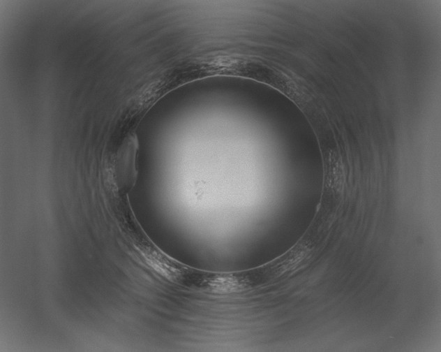 X0000051910562200507011536