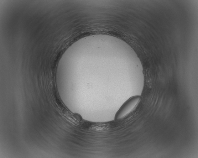 X0000051910563200507011536