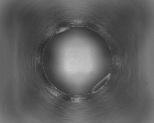 X0000051910564200507011536