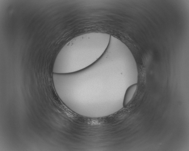 X0000051910565200507011536