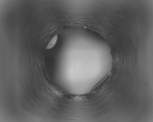 X0000051910566200507011536