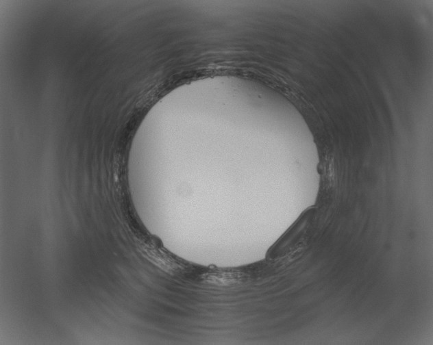 X0000051910567200507011536